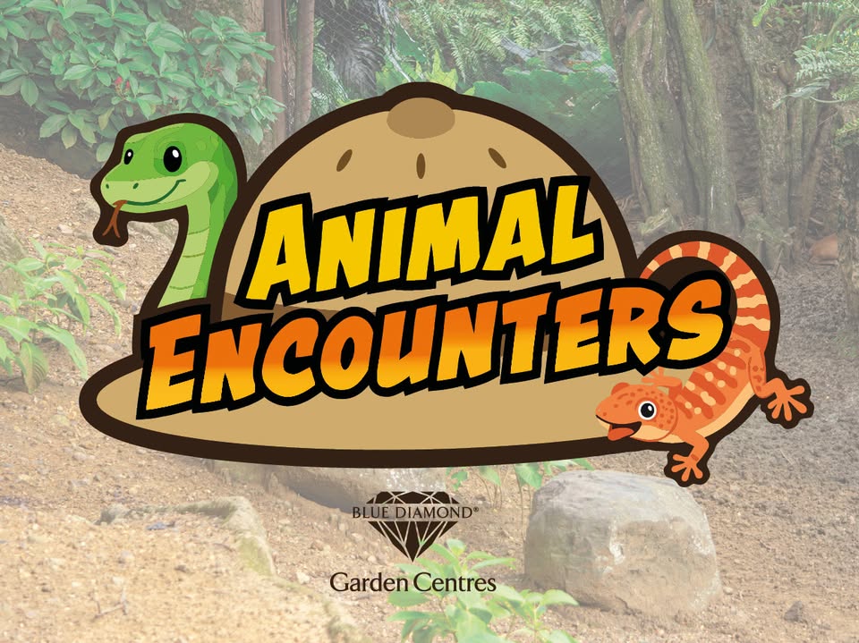 An Animal Encounters advert for an upcoming event with snakes on it