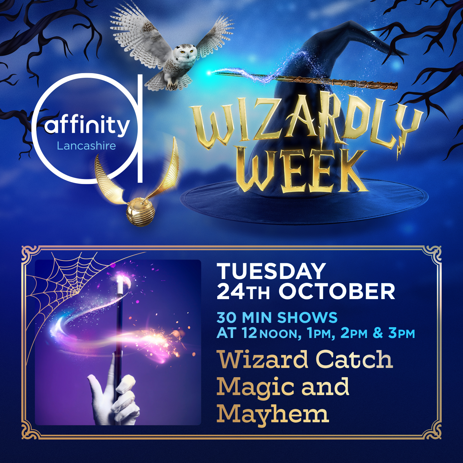 Wizard Catch's Magic and Mayhem