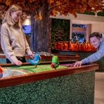 People playing table golf at the Flower Bowl