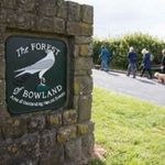Forest of bowland