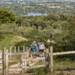 People walking up a hill