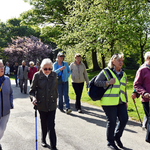 Guided walks