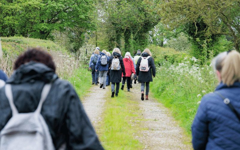 back of a group of people walking down a path