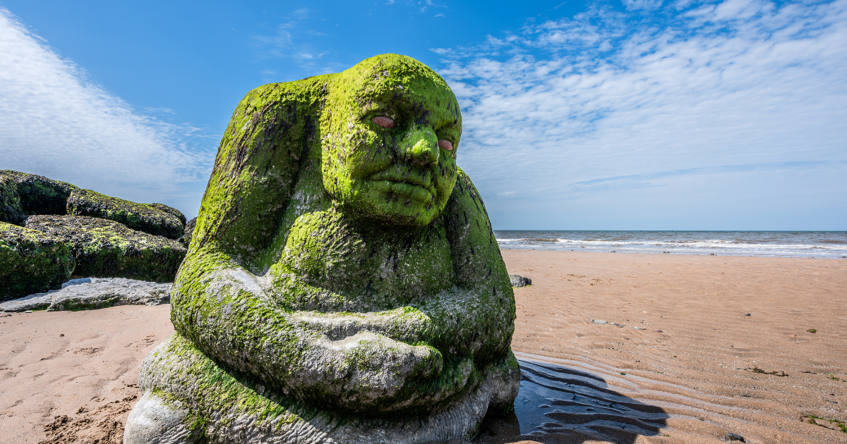 Ogre on Cleveley's Beach