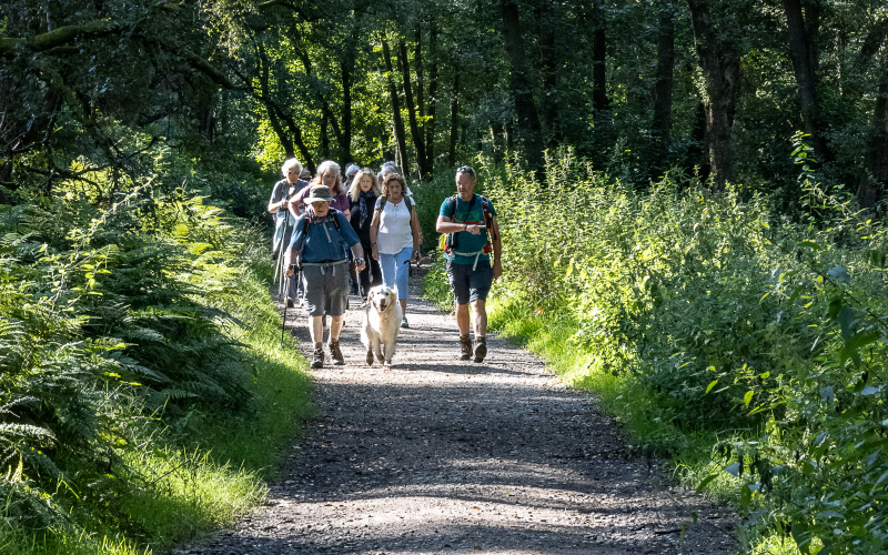 Group walking along countryside path during Garstang Walking Festival event.