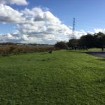 Wyre Estuary Country Park