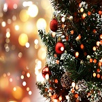 Christmas tree lit up