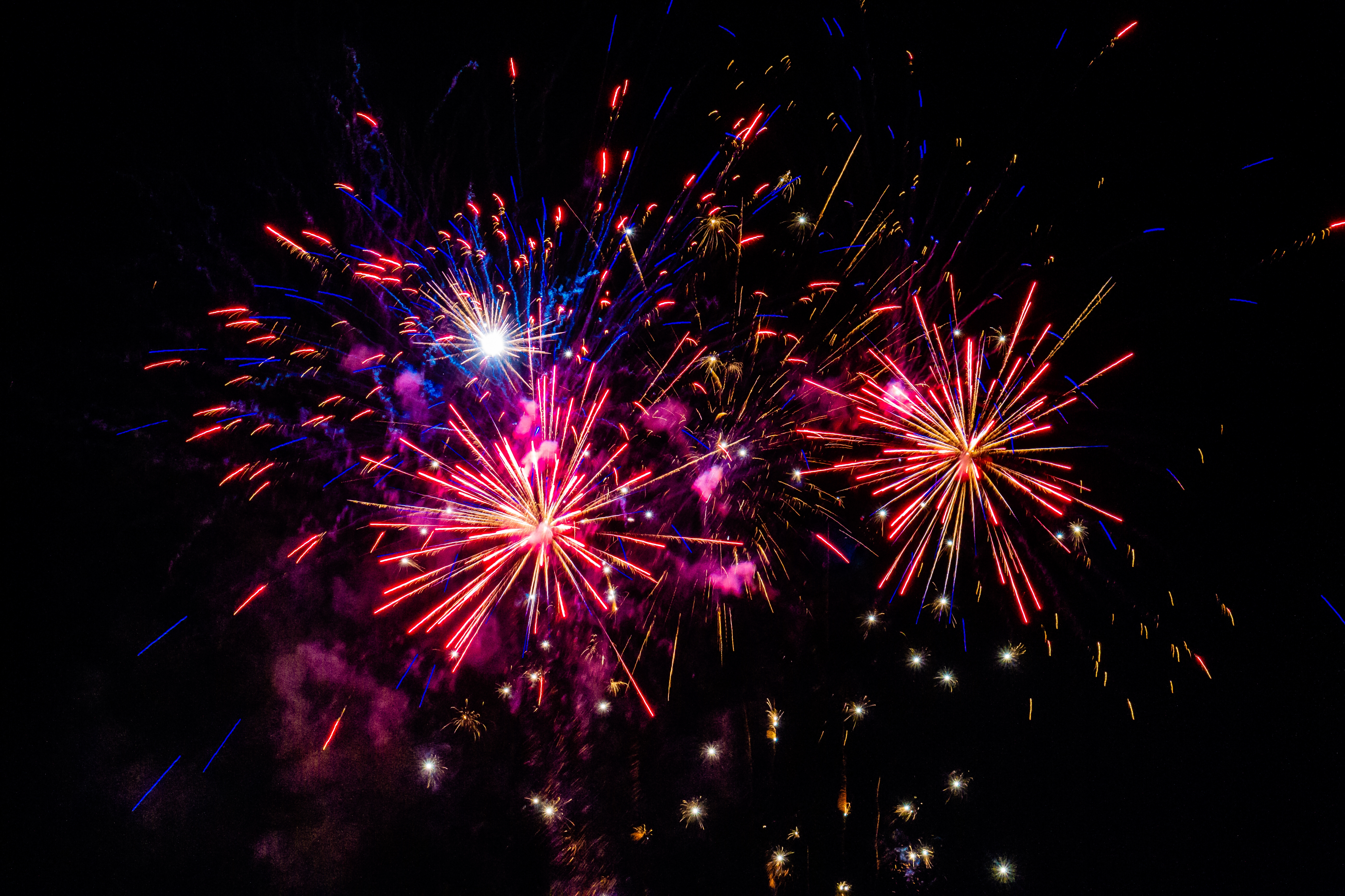 Multicolored fireworks exploding sky night